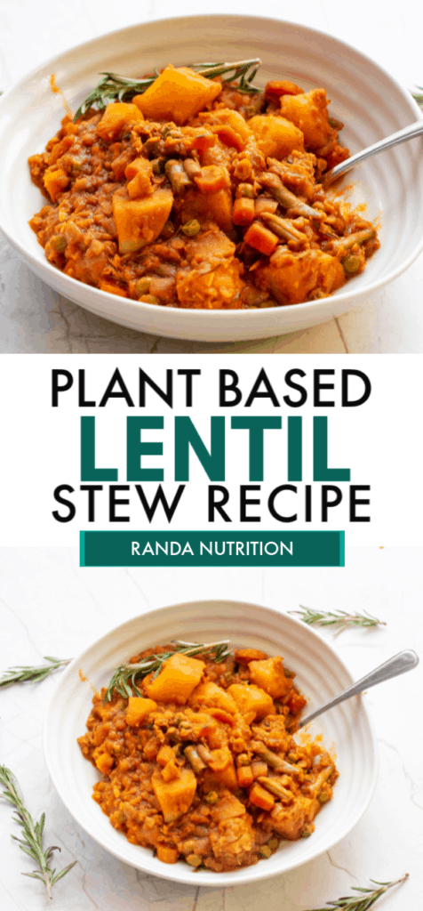 healthy lentil stew recipe