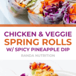 healthy vegetable spring rolls with chicken
