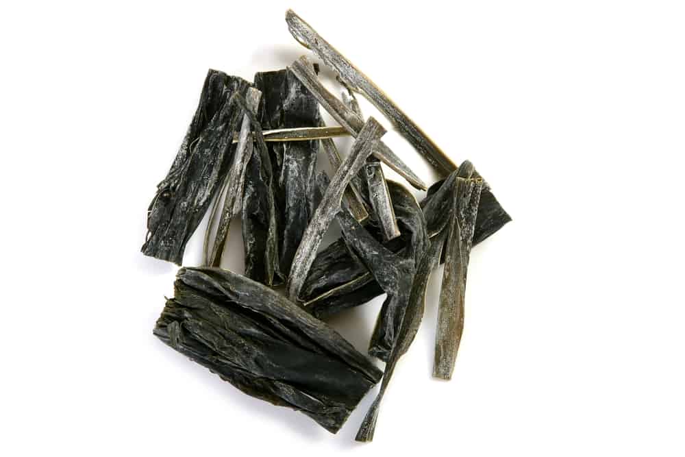 strips of kombu on a white background