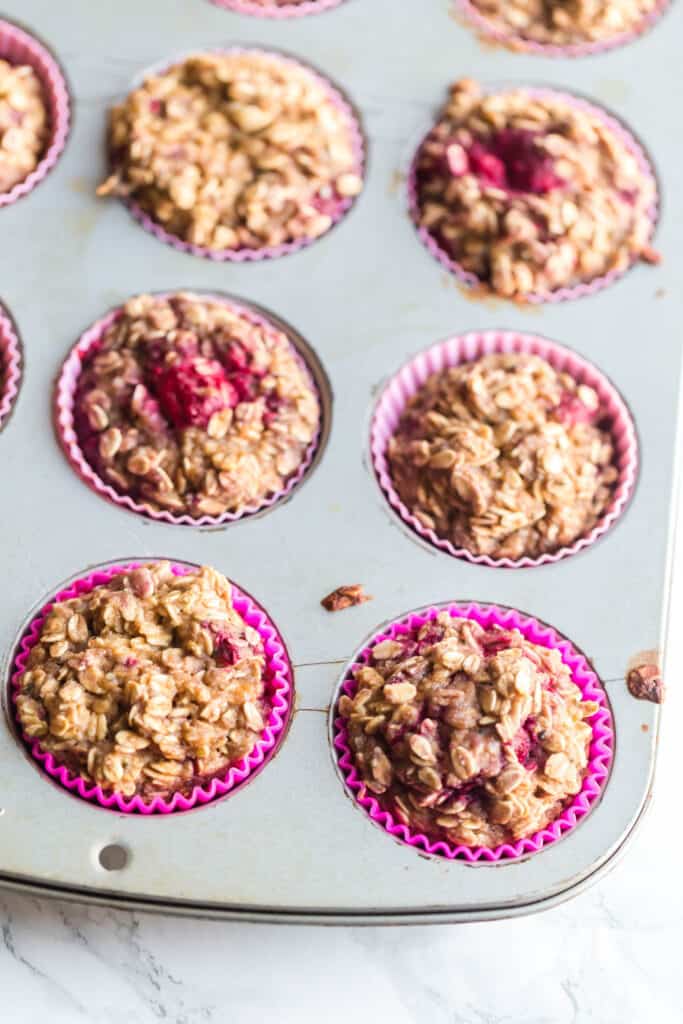 protein oatmeal cups