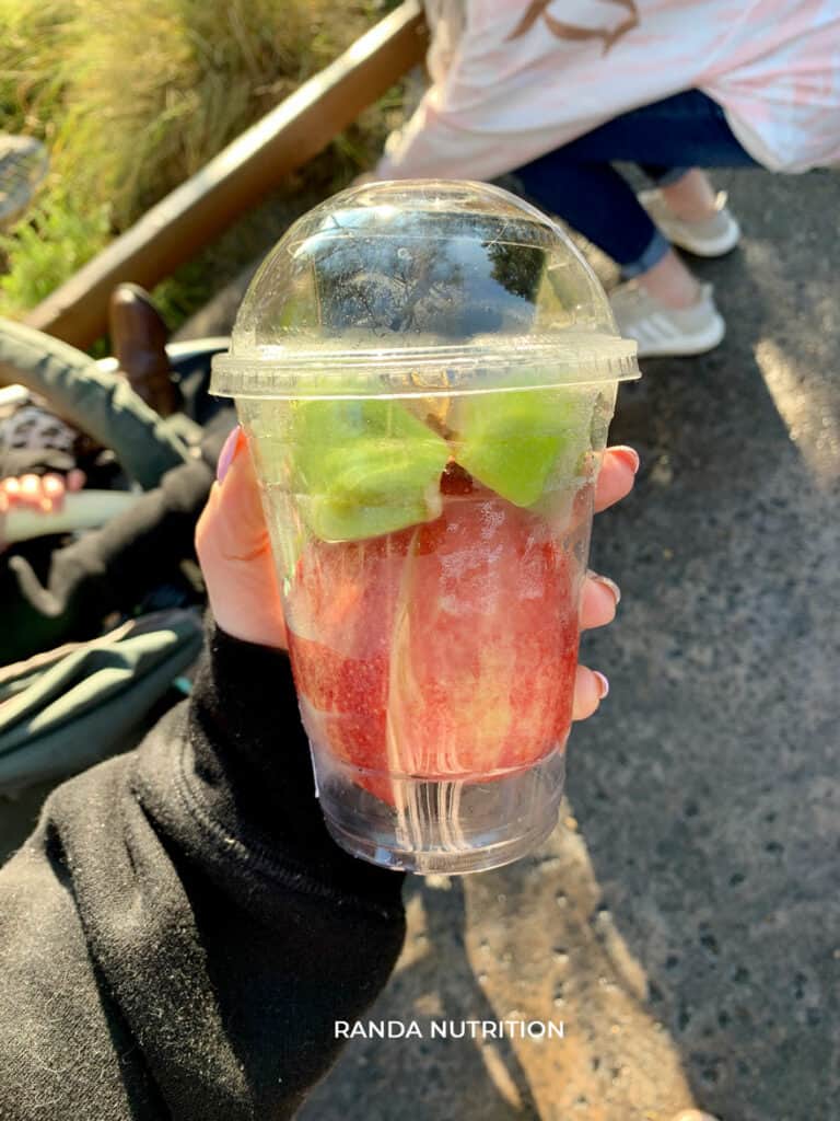 healthy fruit cup at Disneyland