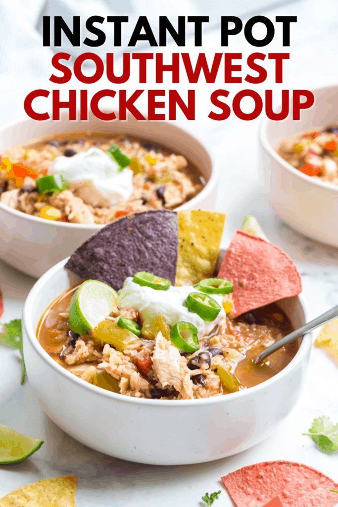 instant pot southwest chicken soup