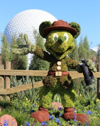 epcot flower and garden festival mickey mouse topiary