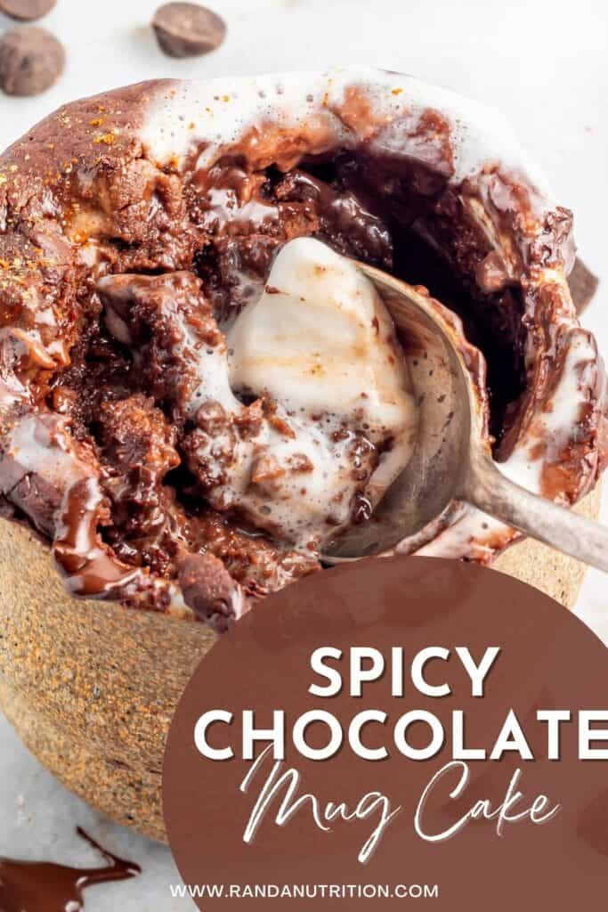 Gluten Free Spicy Chocolate Mug Cake Recipe