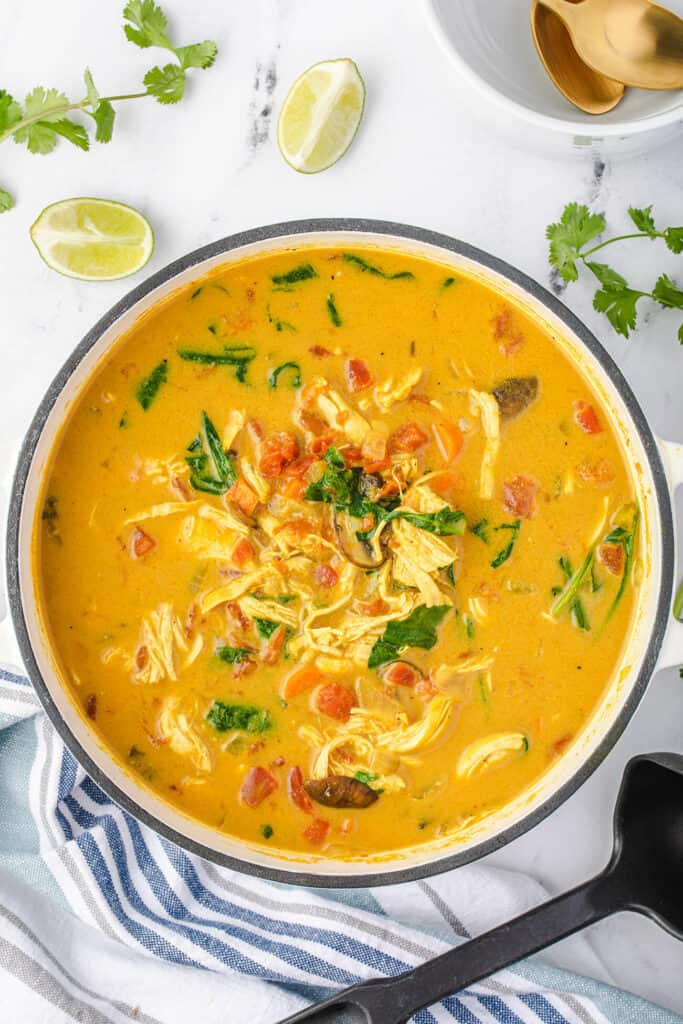 coconut curry chicken soup with spinach