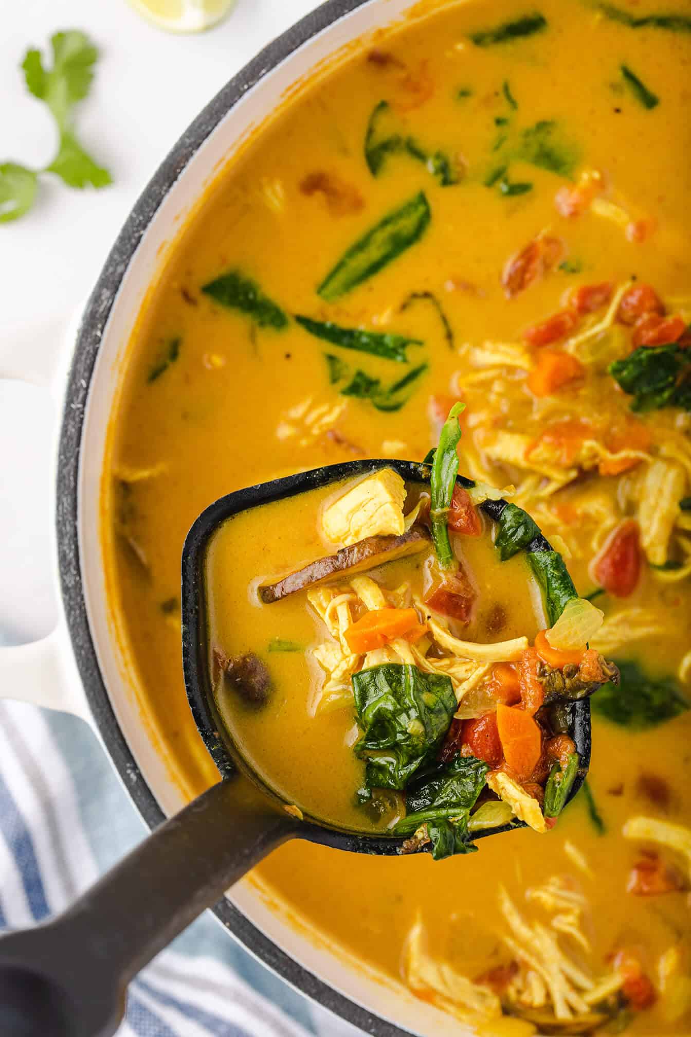 ladle with a dairy free curry soup