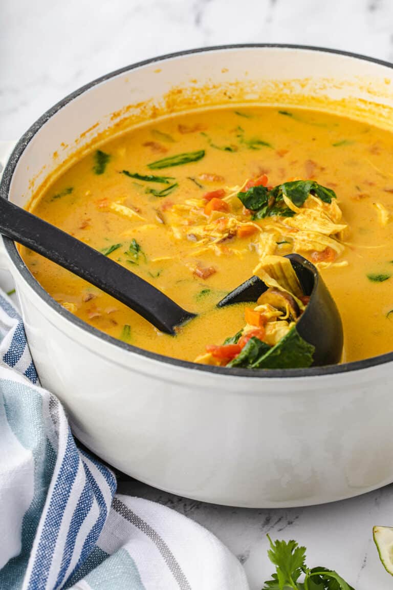 Curried Chicken Soup Recipe 