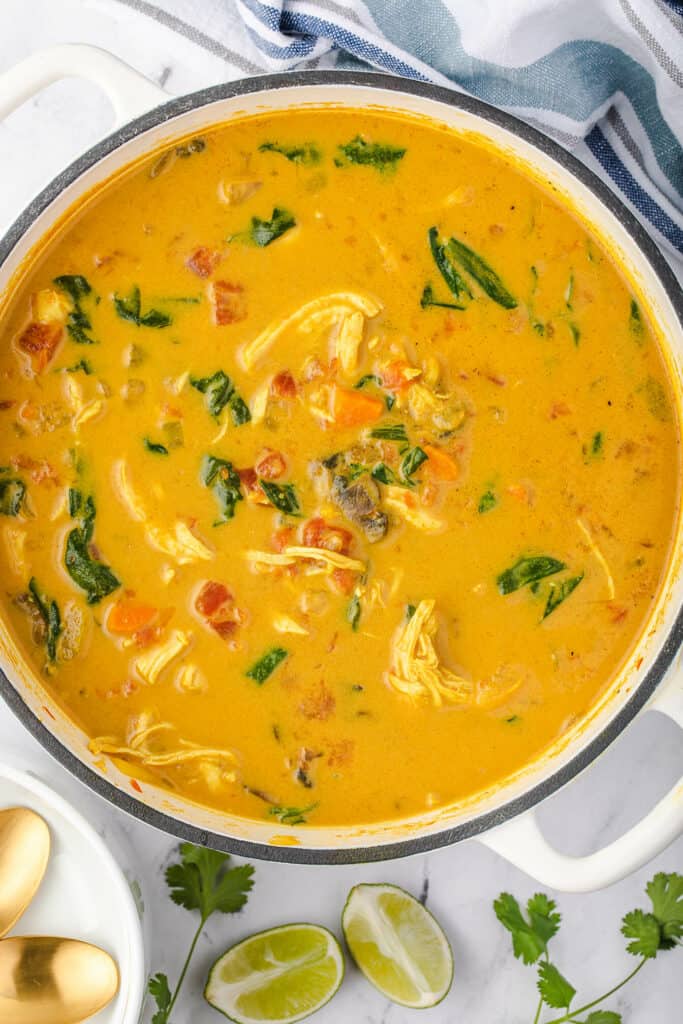 mushroom, coconut cream, turmeric soup with shredded chicken