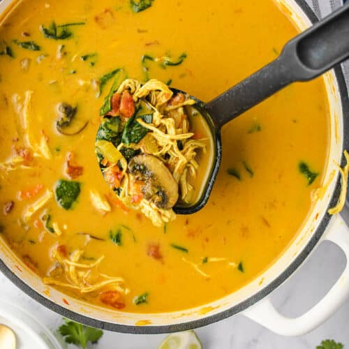 curried chicken soup