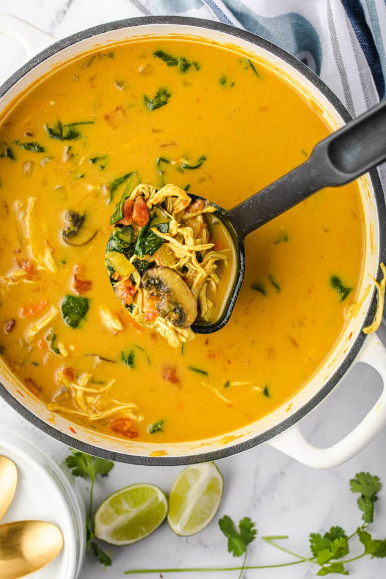 Curried Chicken Soup Recipe