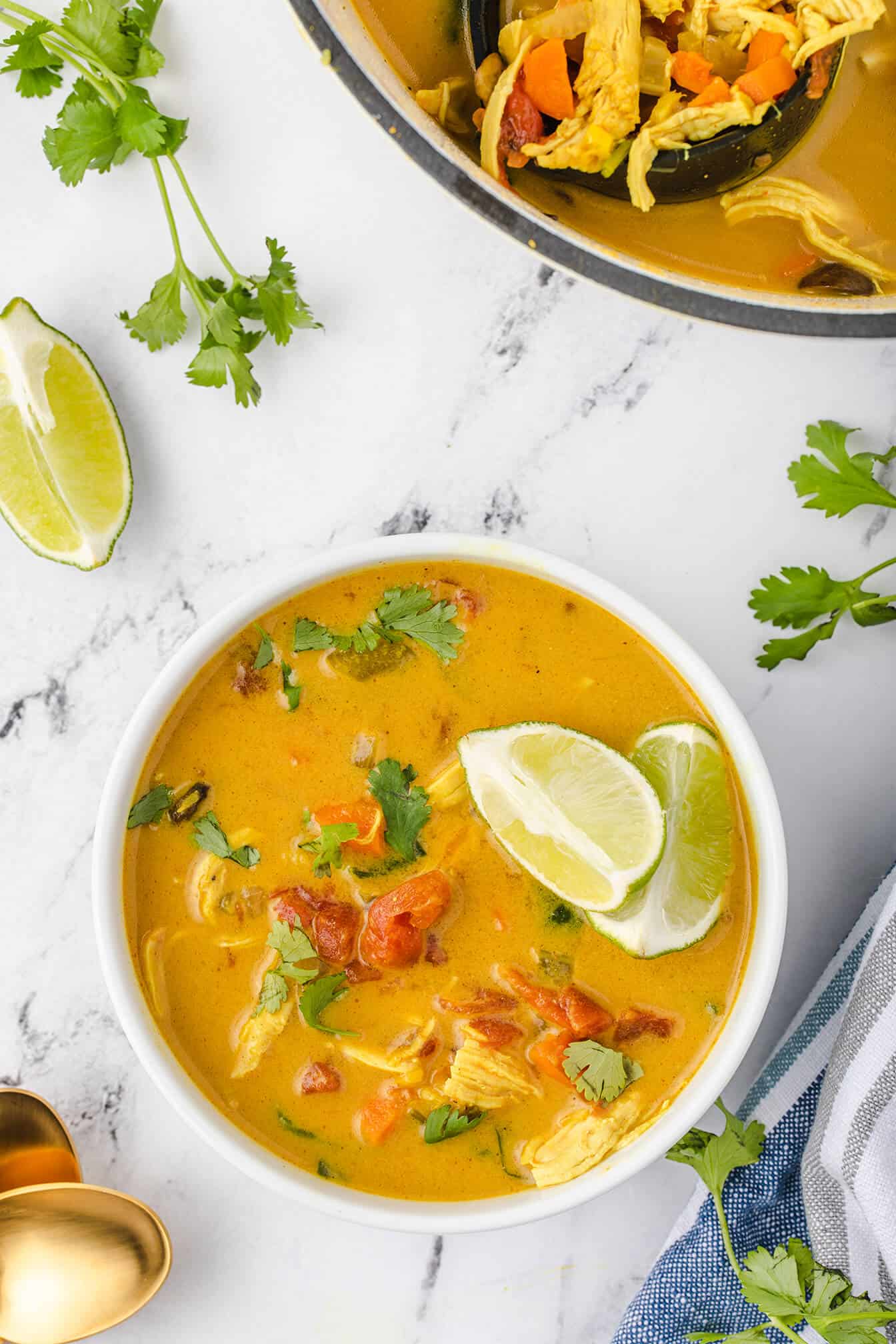 Curried Chicken Soup Recipe