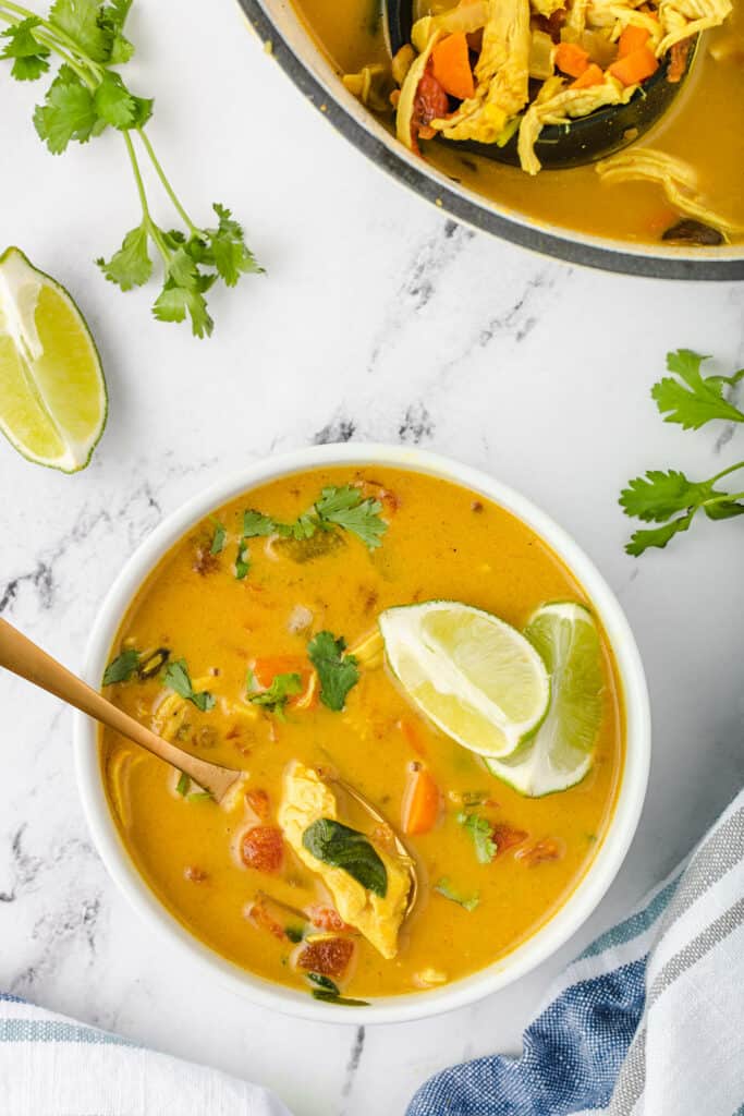 Curried Chicken Soup Recipe