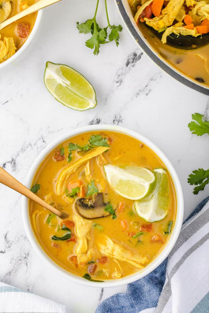 Curried Chicken Soup Recipe