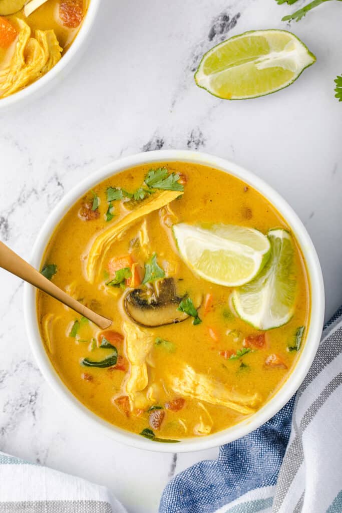 Curried Chicken Soup Recipe