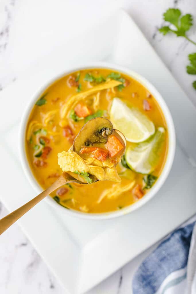 Curried Chicken Soup Recipe