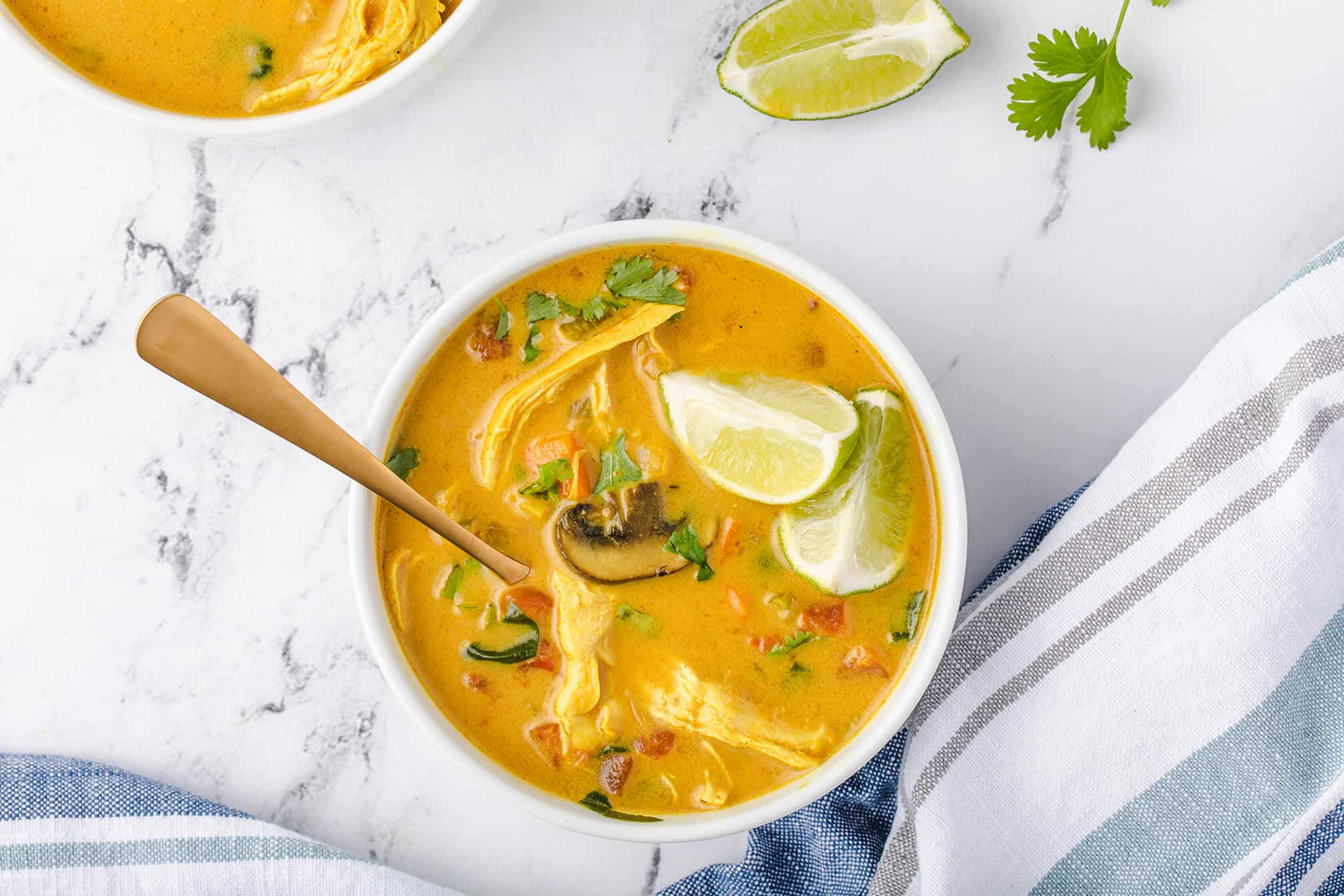 Curried Chicken Soup Recipe | Randa Nutrition