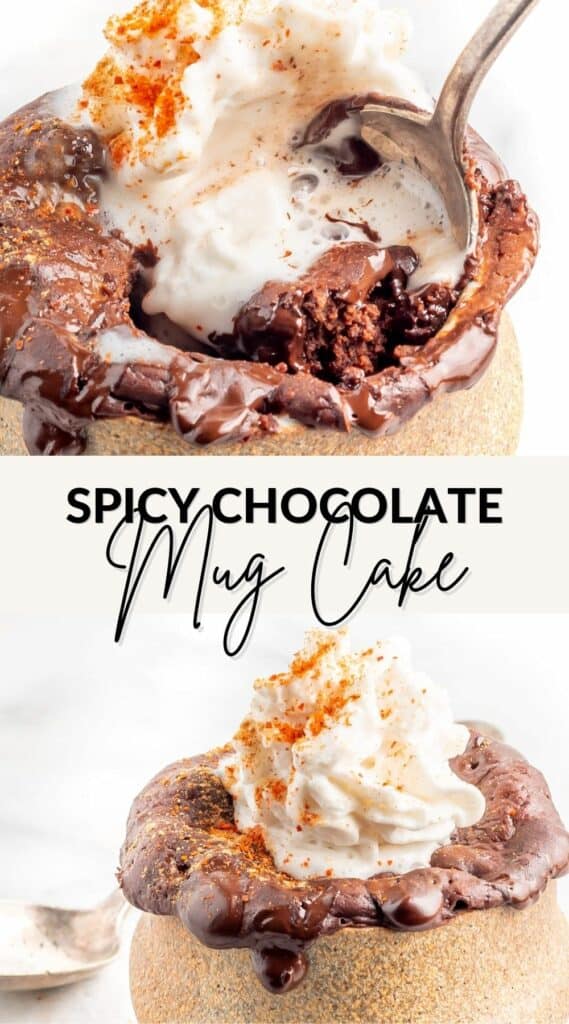 gluten free spicy chocolate mug cake