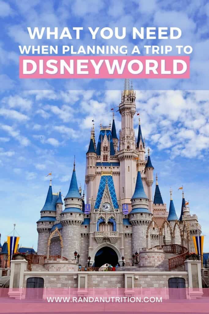 planning a trip to disneyworld