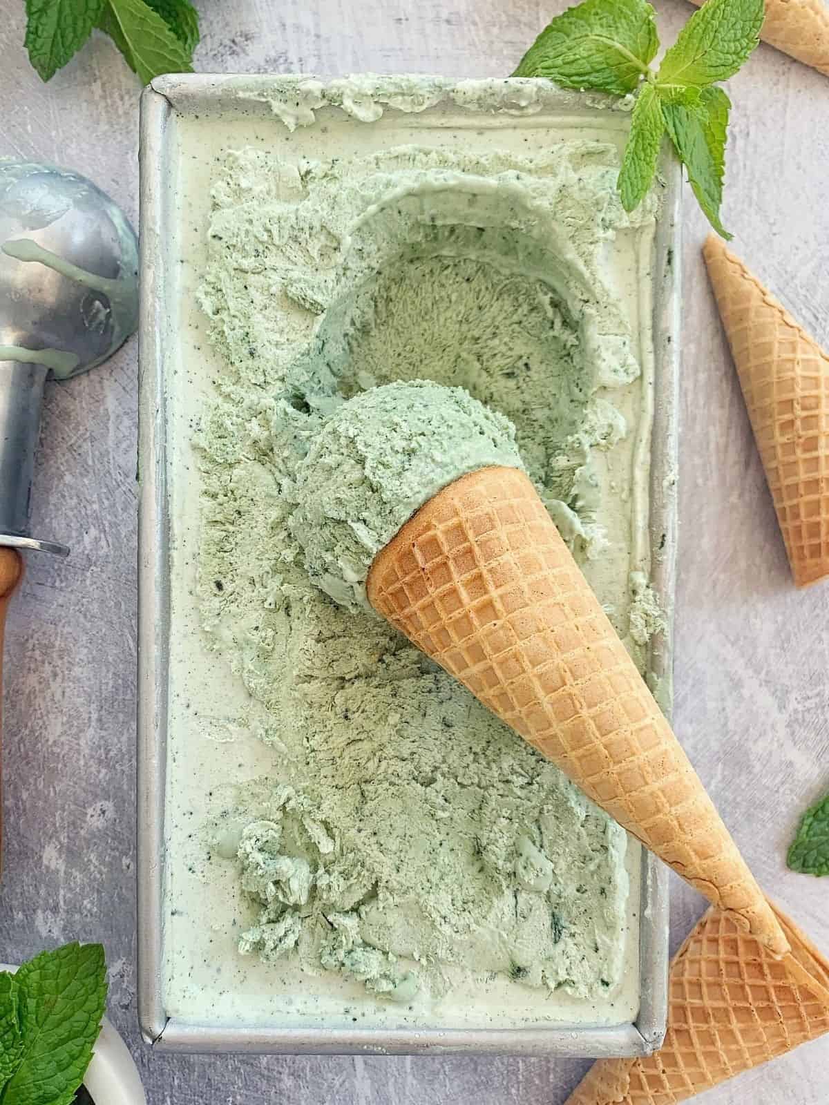 coconut mint ice cream