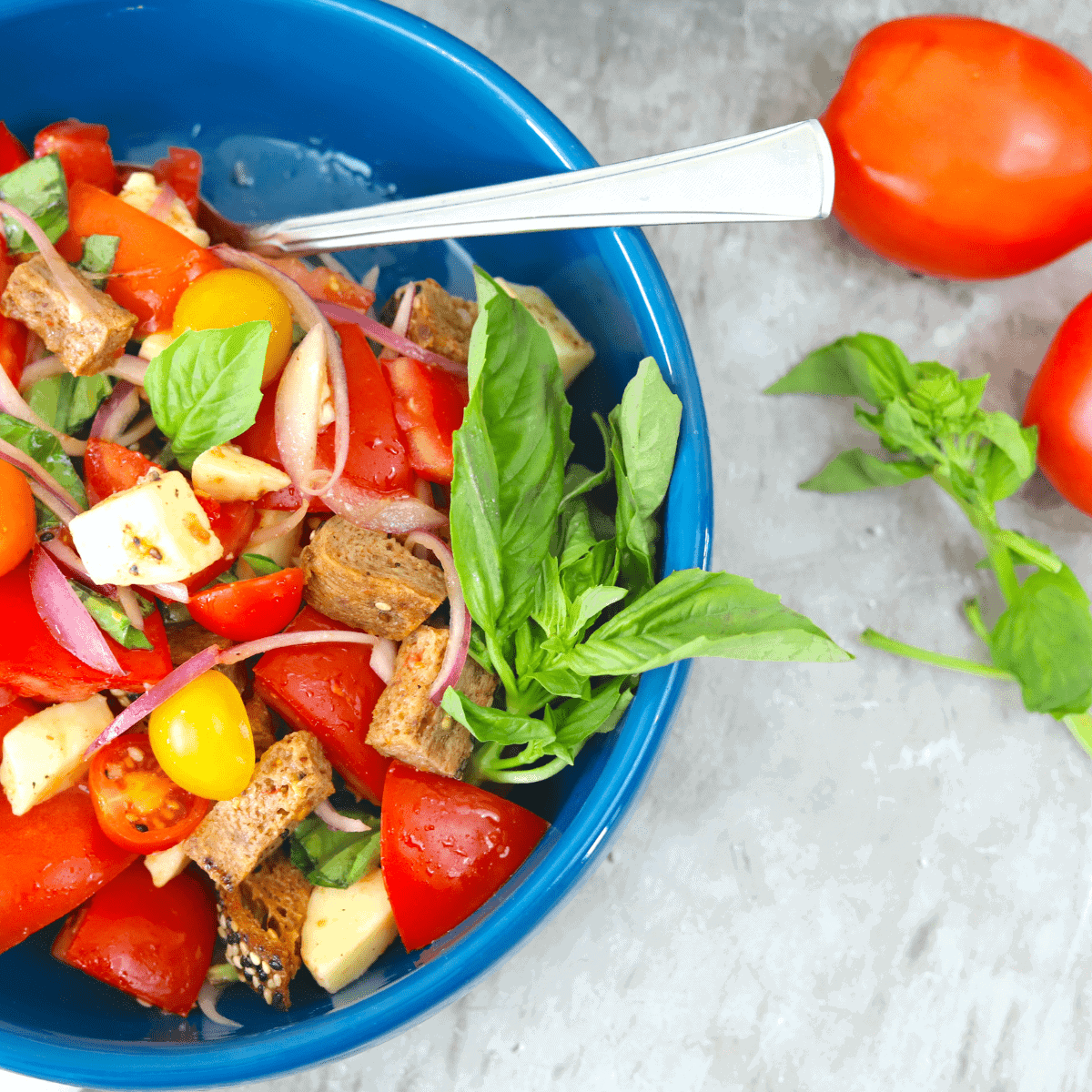 Panzanella Salad Featured Image