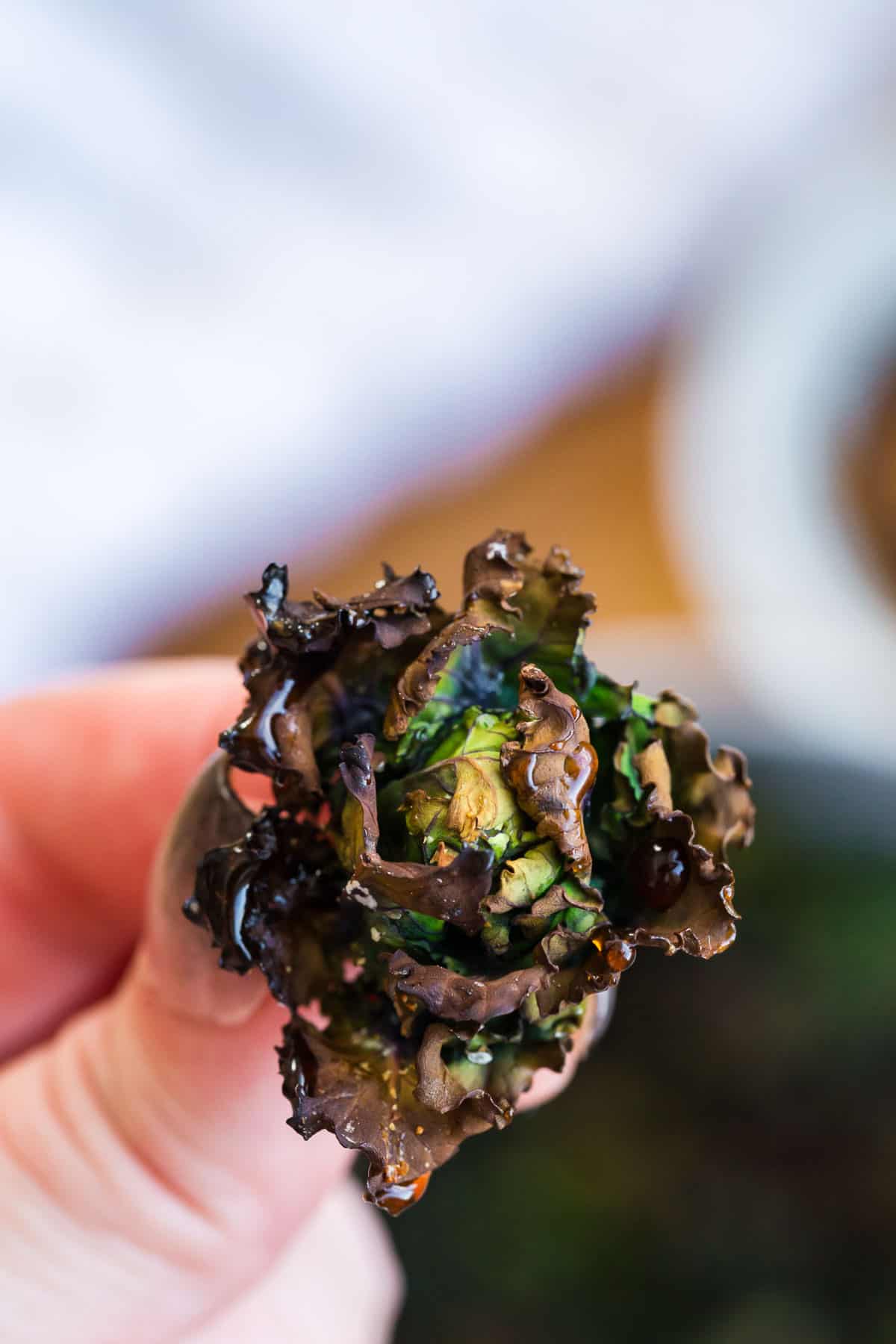 a kale sprout held close to the camera with balsamic over top